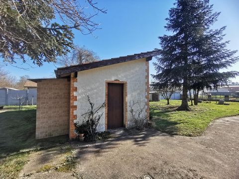 photo no. 13