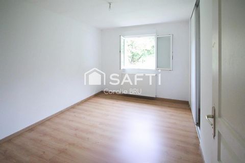 photo no. 6