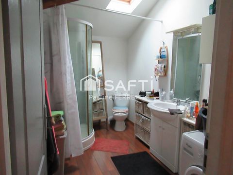 photo no. 12