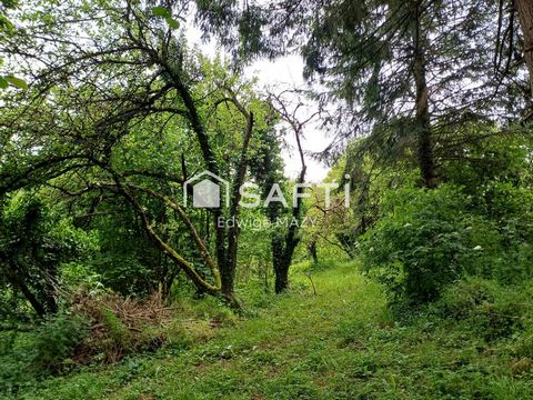 photo no. 10