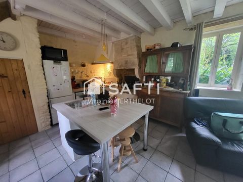 photo no. 13