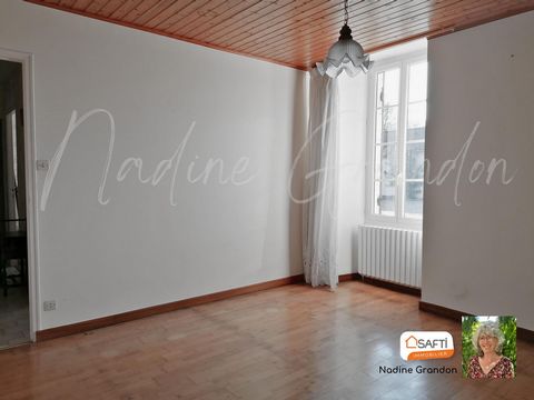 photo no. 12
