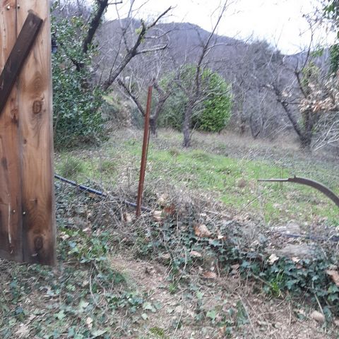 photo no. 11