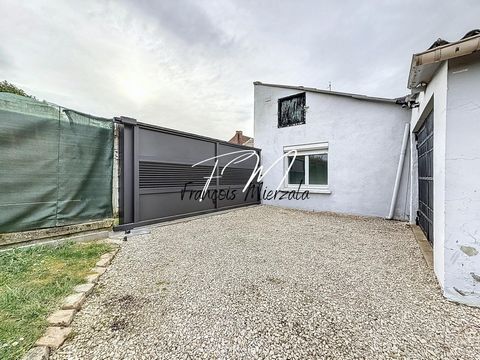 photo no. 11