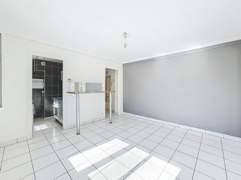 photo no. 6