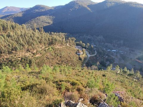 Um terreno florestal em Alvarenga com 7000 metros quadrados parece ser um ótimo espaço! Alvarenga é uma região conhecida por sua beleza natural, então ter um terreno lá seria uma oportunidade incrível para desfrutar da paisagem e talvez até mesmo des...