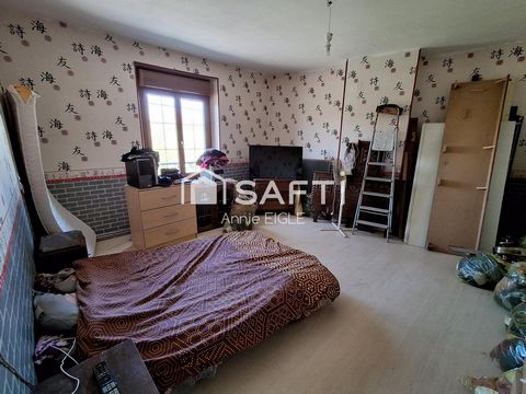 photo no. 12