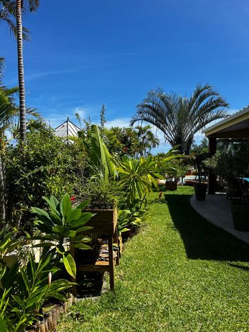 photo no. 2