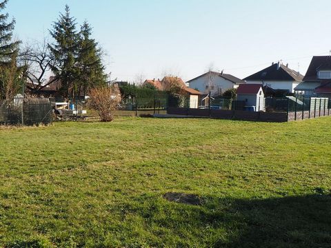 photo no. 1