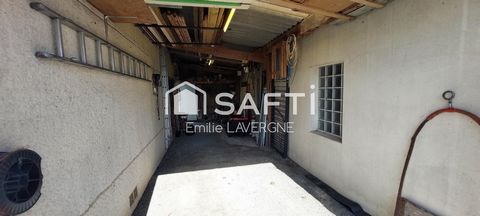 photo no. 17