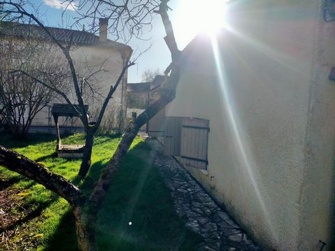 photo no. 12