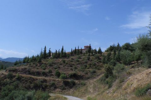 photo no. 1