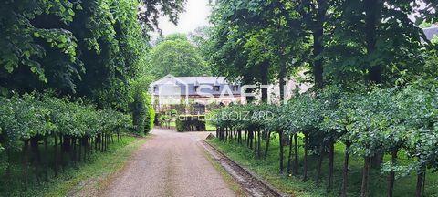 photo no. 16