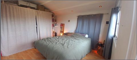photo no. 12