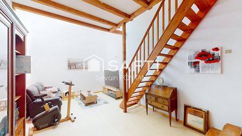 photo no. 7