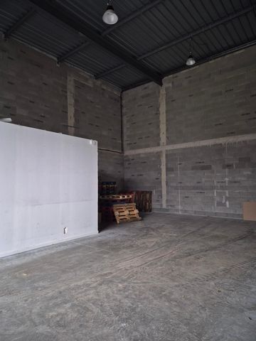 photo no. 2