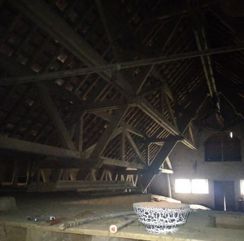 photo no. 9