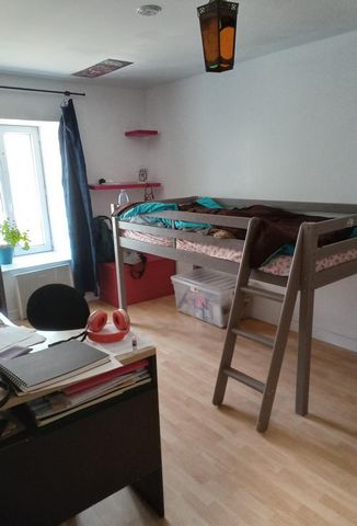 photo no. 6