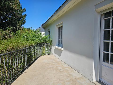 photo no. 8