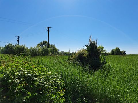 photo no. 1