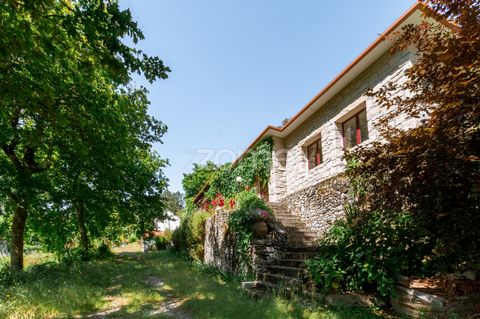 Identificação do imóvel: ZMPT576408 Propriedade Única com Grande Potencial Turístico – Cabeceiras de Basto Localizada no Lugar de Rio Douro, Cabeceiras de Basto Com mais de 22.000 m² de terreno contínuo, esta propriedade destaca-se pela sua versatili...