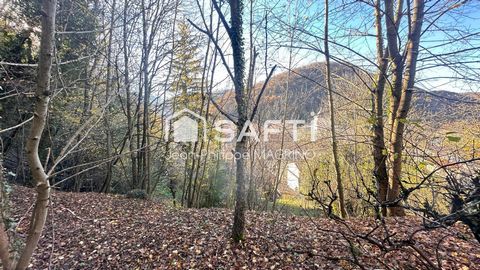 photo no. 13