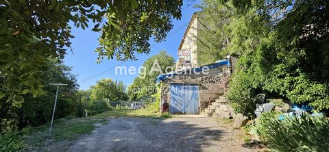 photo no. 11