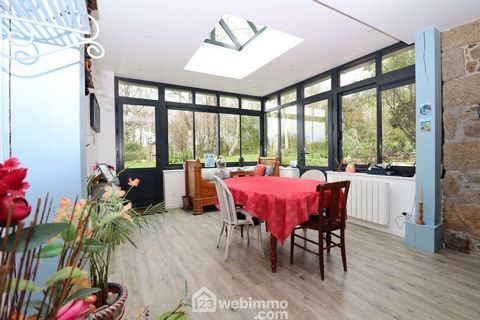photo no. 11