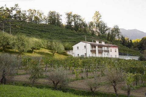 Situata nel cuore della regione veneta del Prosecco, questa affascinante casa vacanze offre un appartamento spazioso e moderno per un soggiorno rilassante. Dispone di una camera matrimoniale, una seconda camera con letto alla francese e un comodo div...