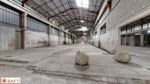 photo no. 10