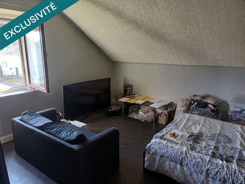 photo no. 11