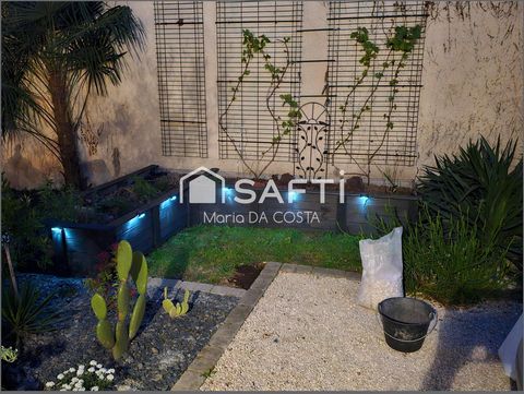 photo no. 11