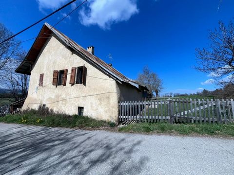 photo no. 4