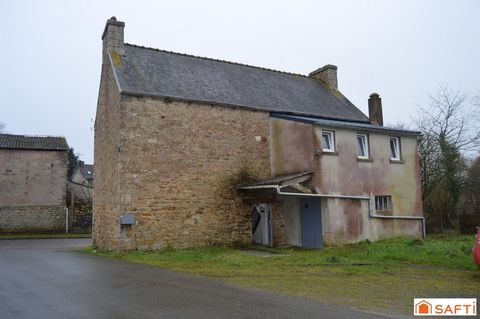 photo no. 16