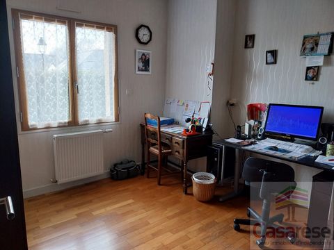 photo no. 11