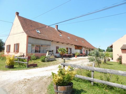 photo no. 1
