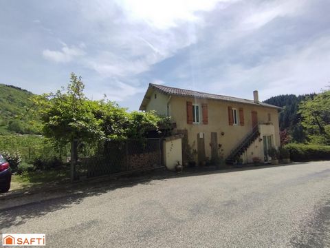 photo no. 11