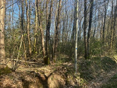 Terrain à vendre LE VIEIL BAUGE (49)