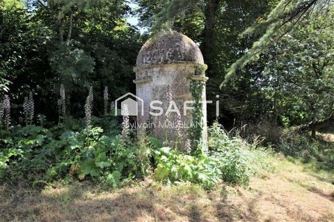 photo no. 18