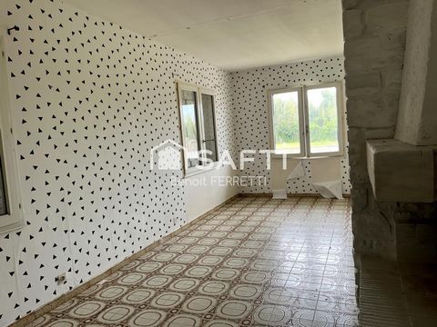photo no. 10