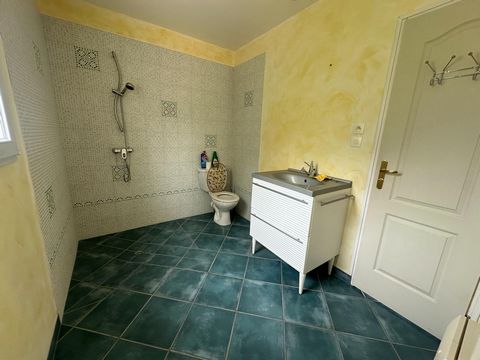 photo no. 8
