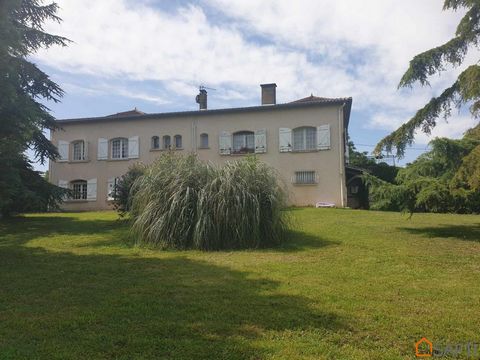 photo no. 12