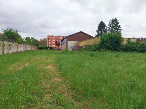 photo no. 2