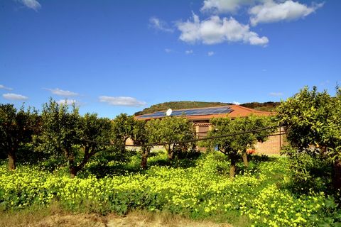 A Relaxing Countryside Escape Nestled among the olive groves and rolling hills of Calabria, this spacious 4-bedroom farmhouse in Limbadi is your perfect home base for an Italian countryside getaway. With room for up to 9 guests, a large private garde...
