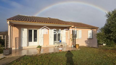 photo no. 14