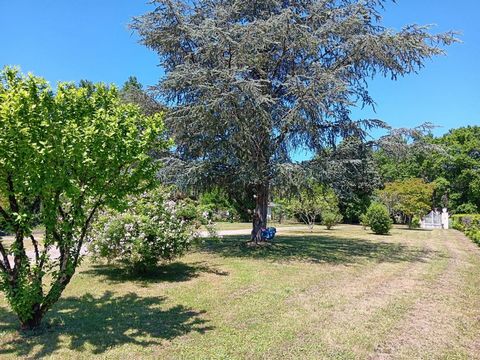 photo no. 14