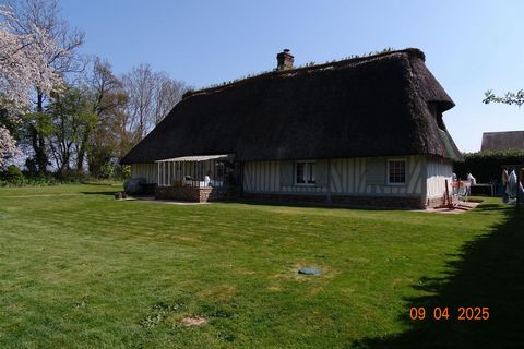 photo no. 13