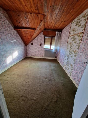 photo no. 10