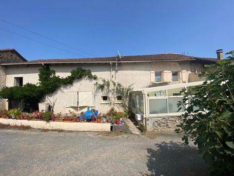photo no. 2