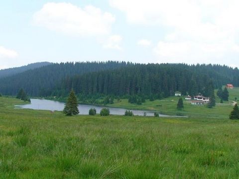 TEL: ... ; 0301 69999/WIR BIETEN LANDWIRTSCHAFTLICHE GRUNDSTÜCKE IM GEBIET 